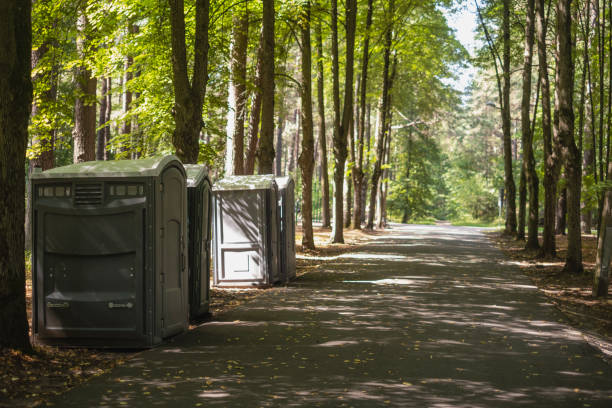 Best Affordable portable toilet rental  in Red Lake Falls, MN